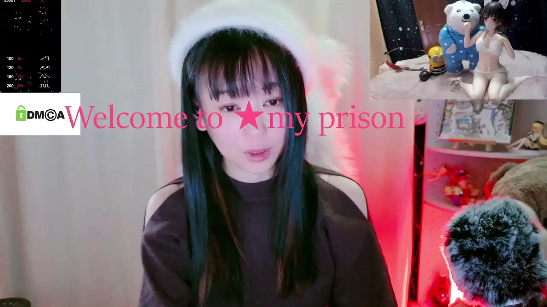 meows video thumbnail