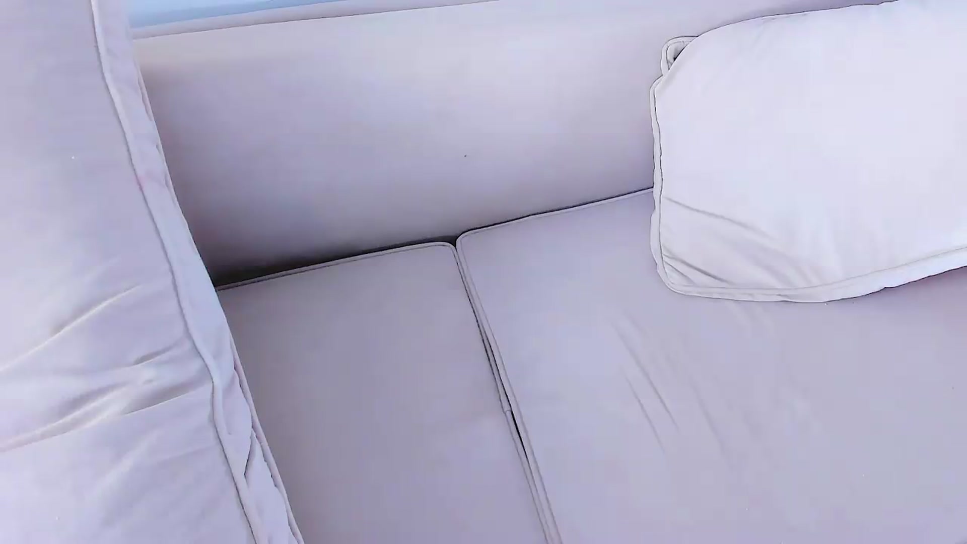 OnlyCats video thumbnail
