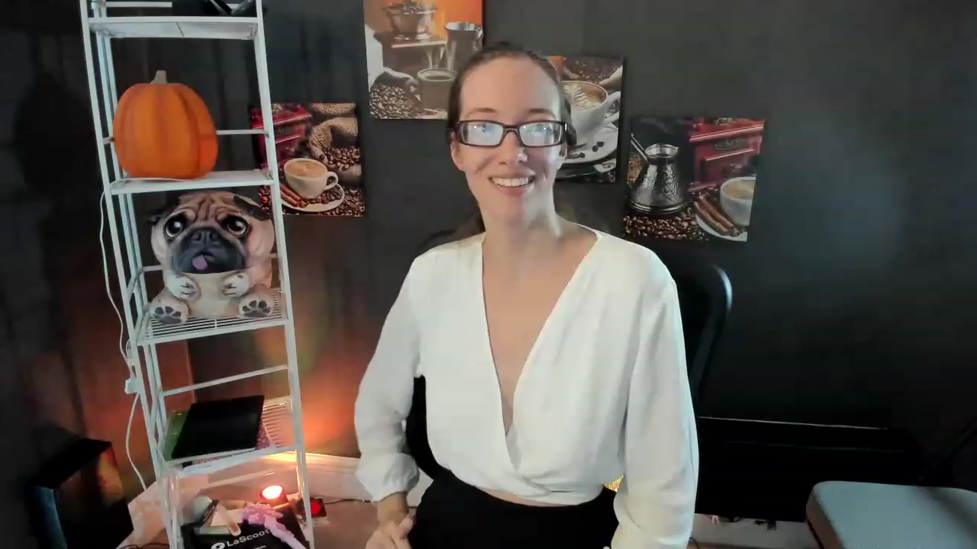 DocDropBear video thumbnail