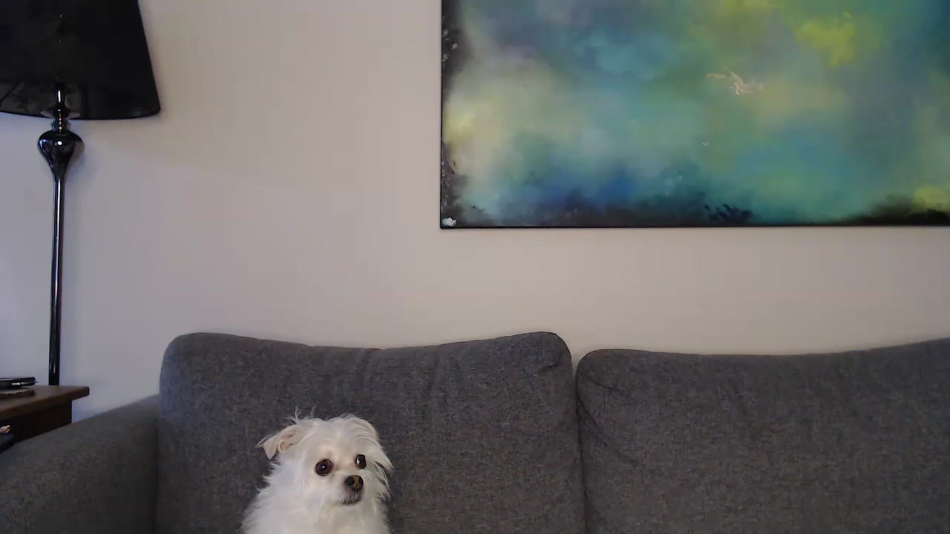 xMissBliss video thumbnail