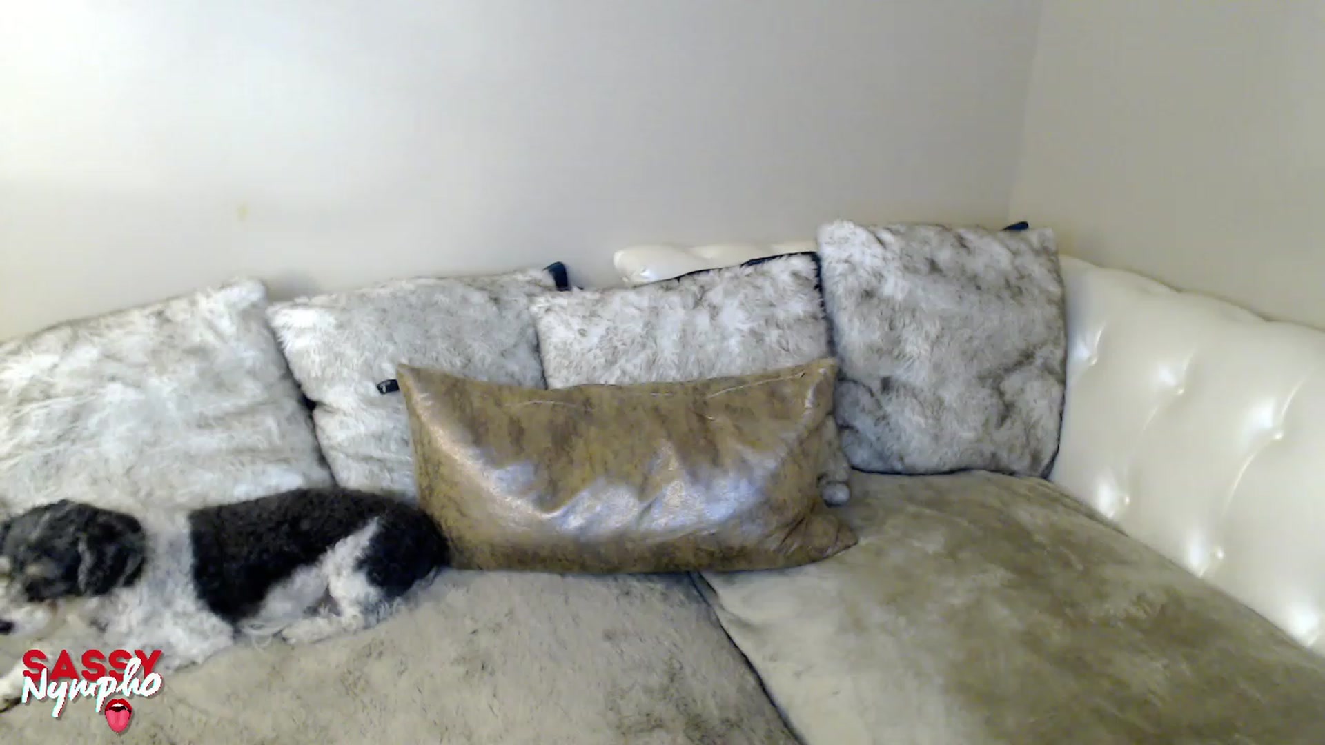 Sassy_Nympho video thumbnail
