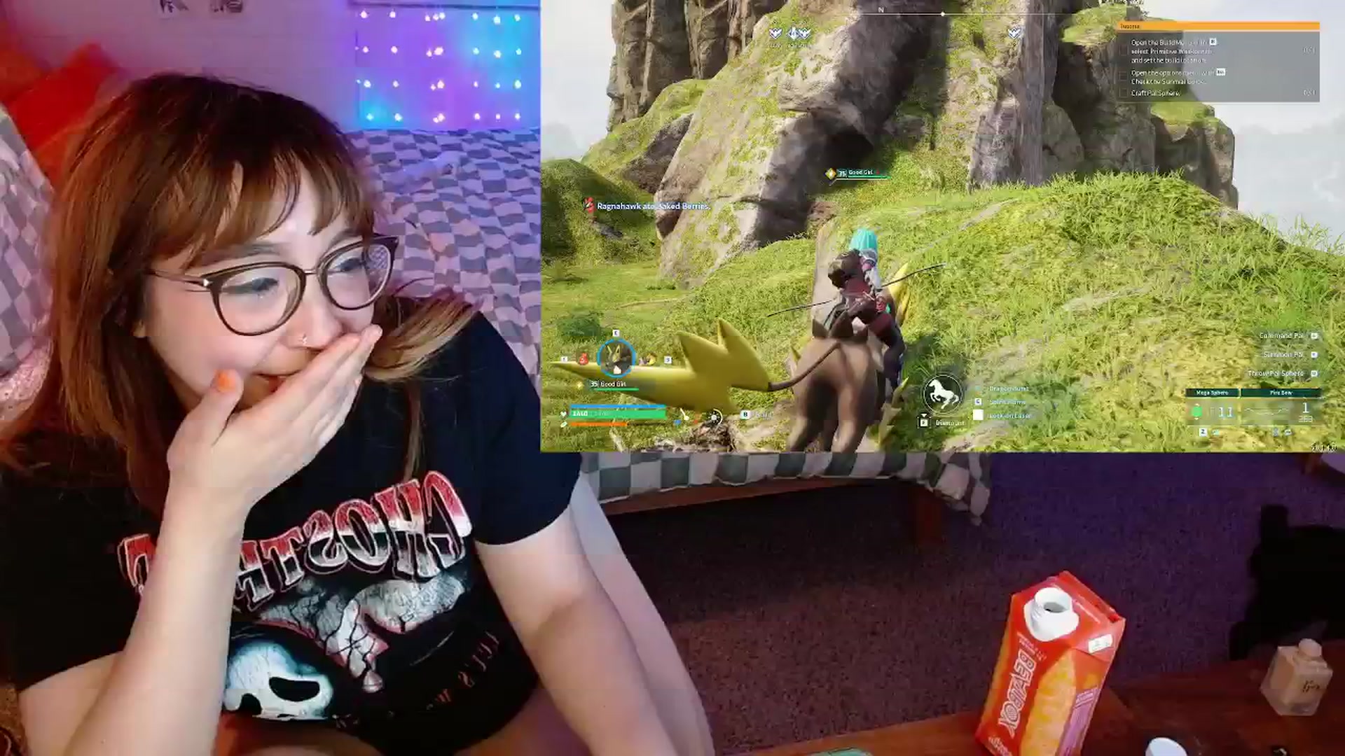 COZYNOVI video thumbnail