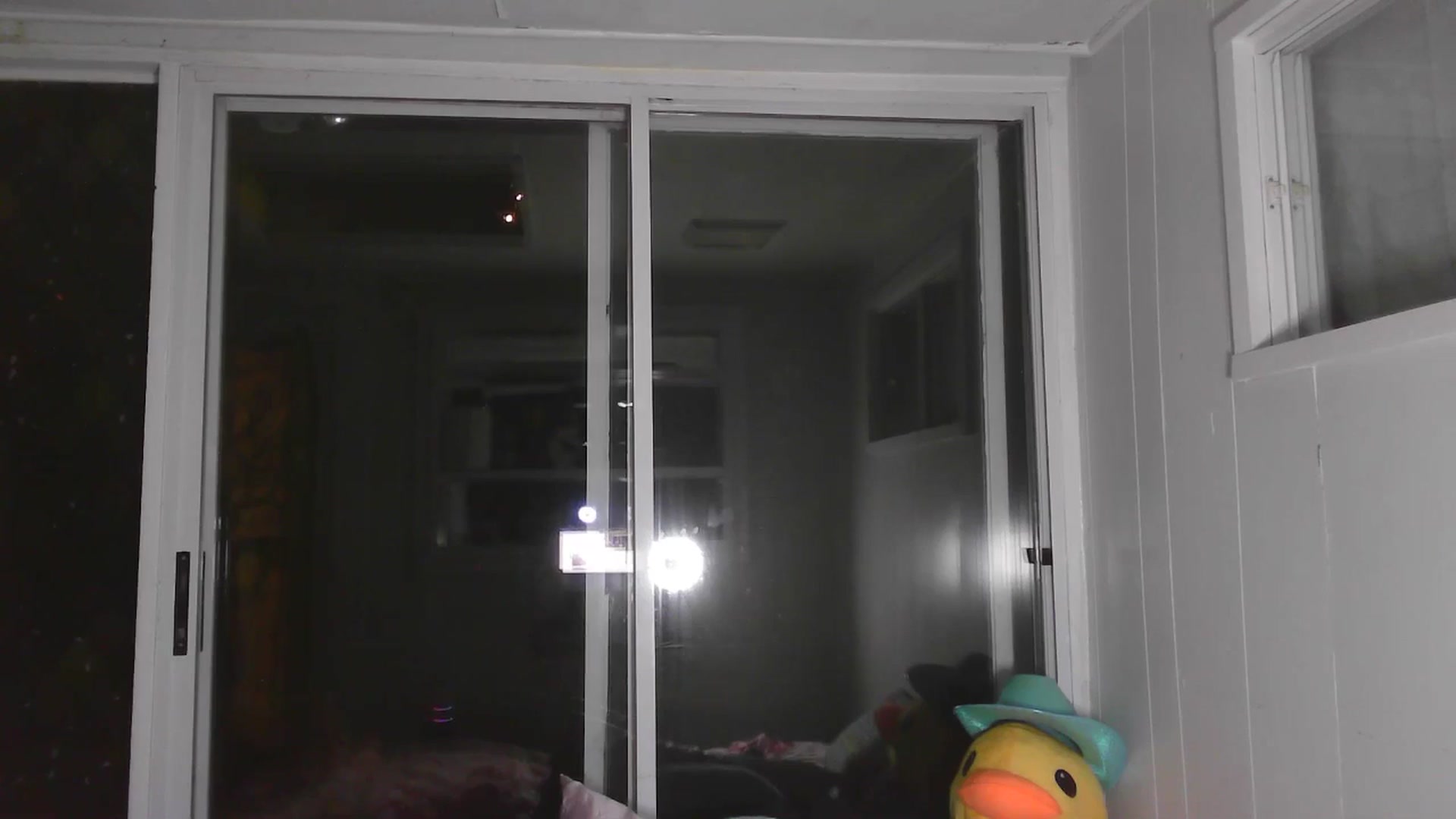 VantaBee video thumbnail