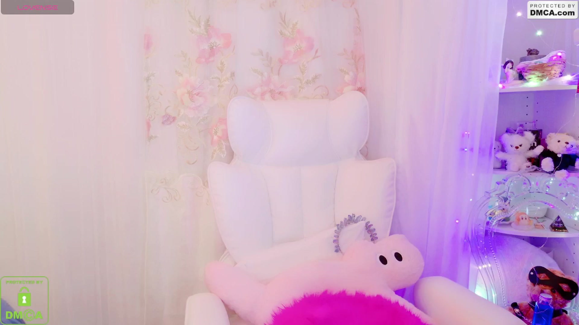meows video thumbnail