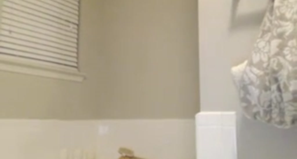 Kitten_xx video thumbnail