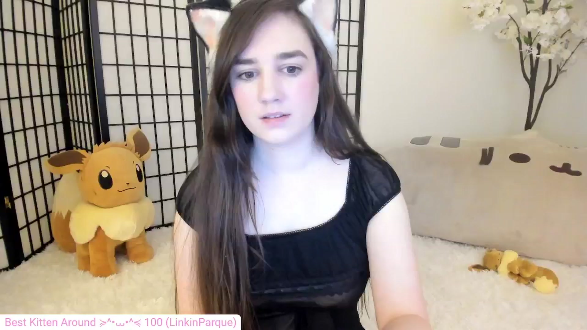 Kitty video thumbnail