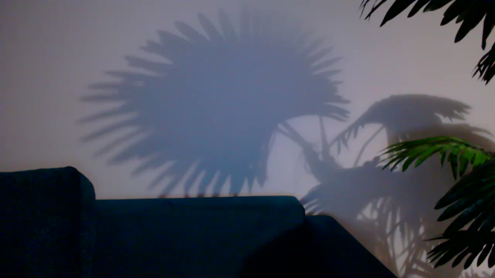 Delilah_sweet video thumbnail