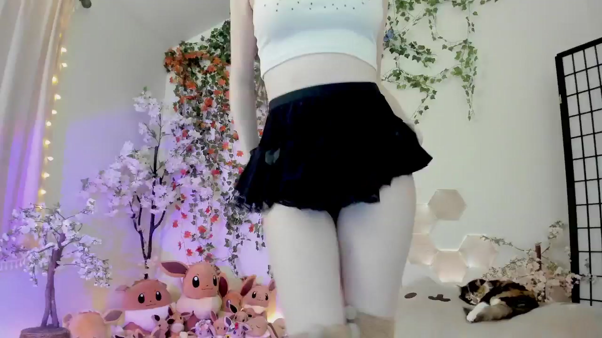 Kittenyx video thumbnail