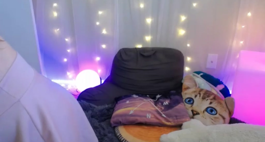 ZillyKitty video thumbnail