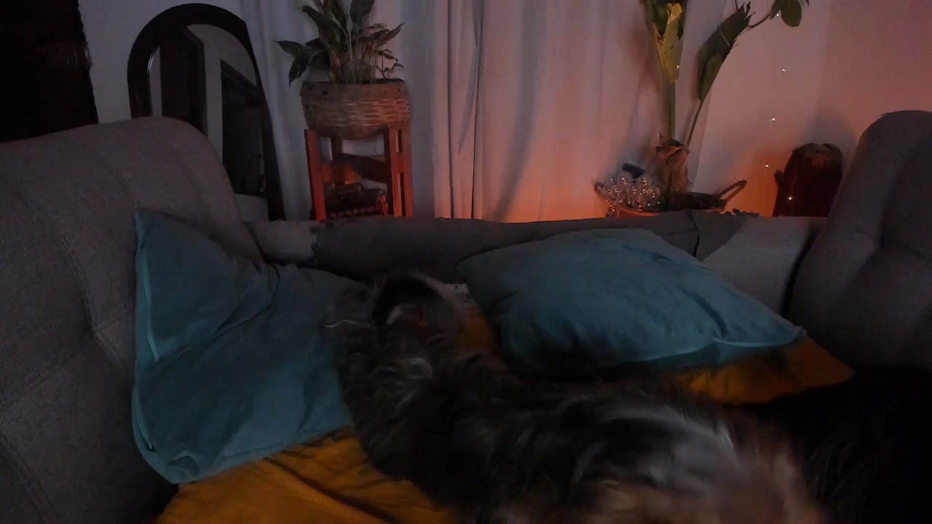 Lucy_mar video thumbnail