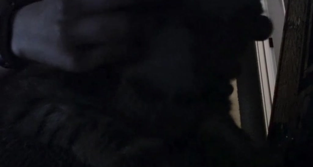 GiselleB video thumbnail