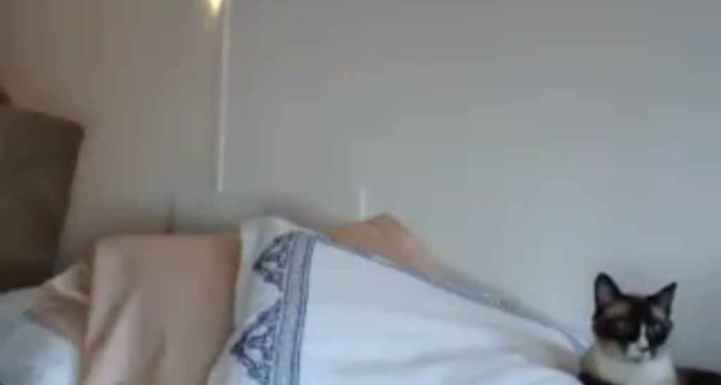 Stella_Rose24 video thumbnail