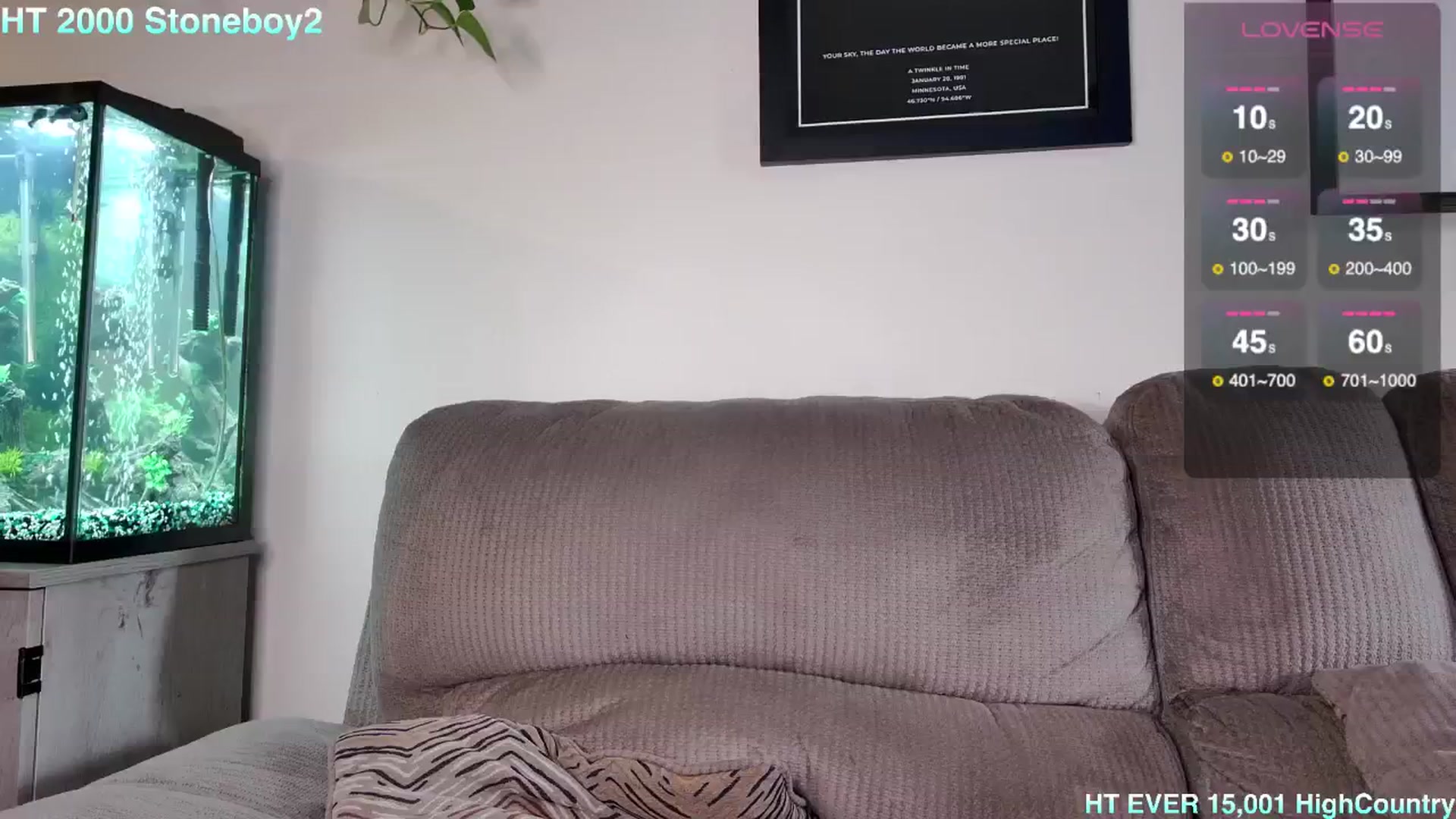 Rose_Kitten video thumbnail