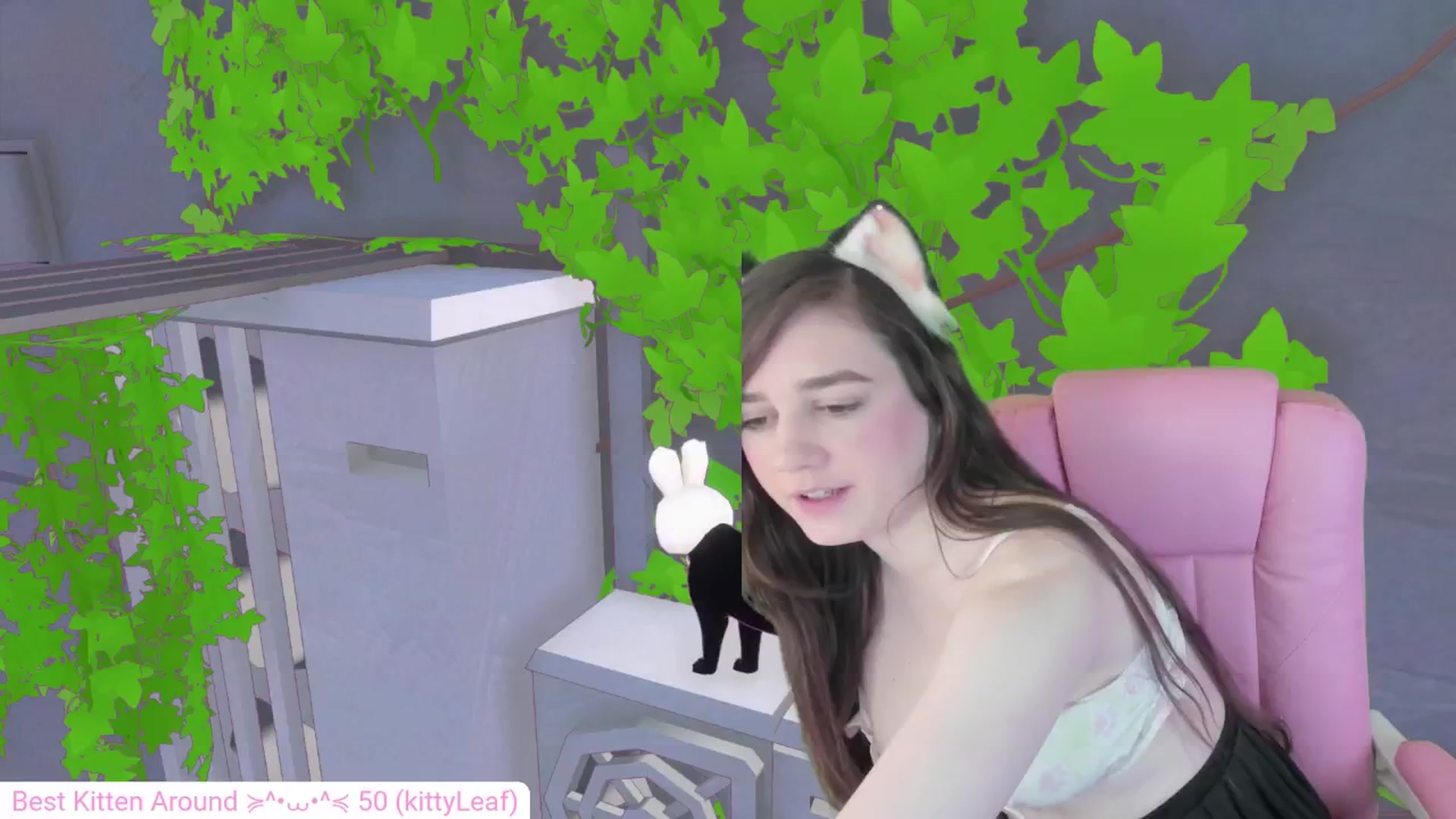 Kitty video thumbnail