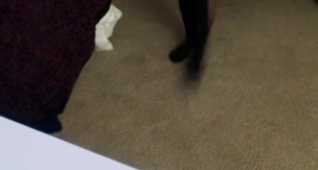 PeytonMoaning video thumbnail