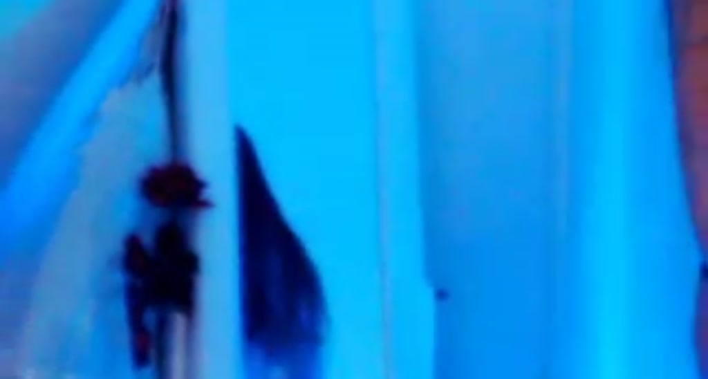 Joey_Kim video thumbnail