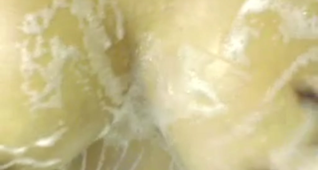 Jisel_Lynn video thumbnail