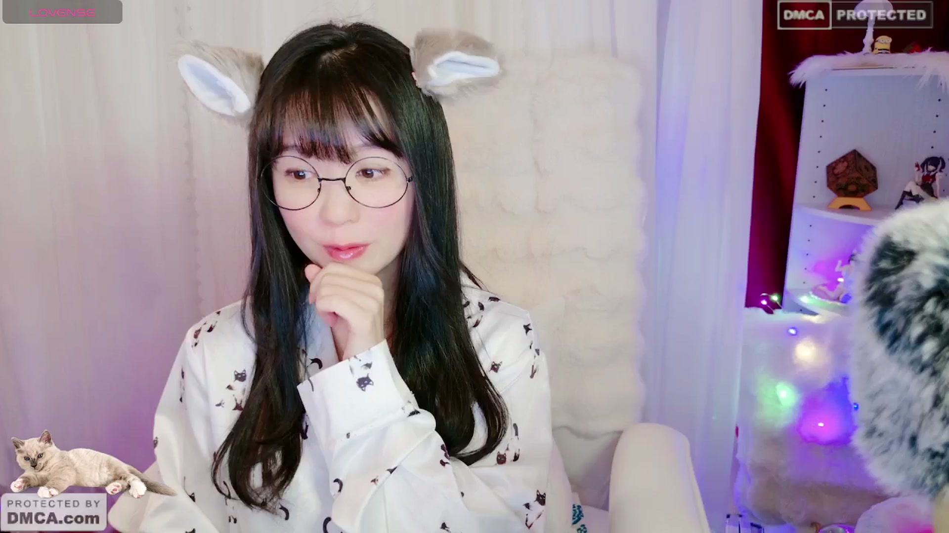 meows video thumbnail