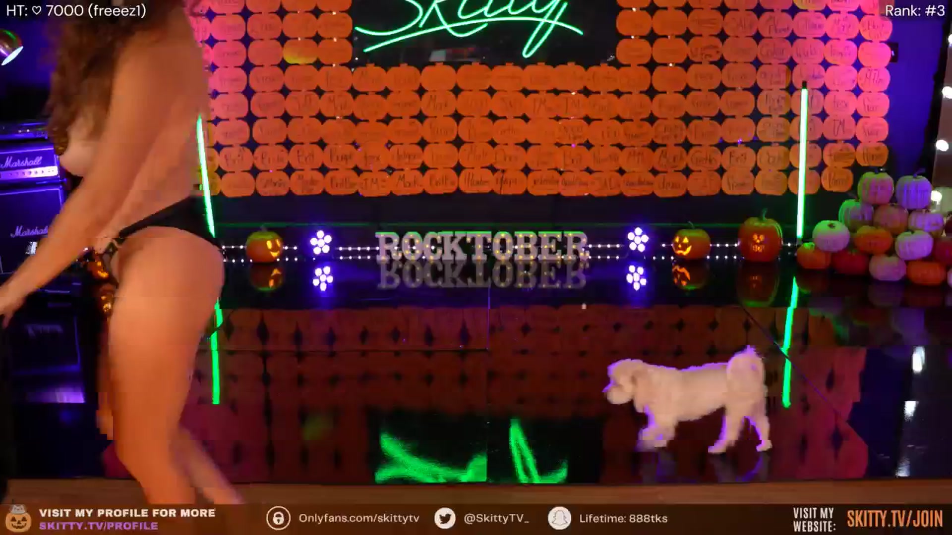 Skitty video thumbnail