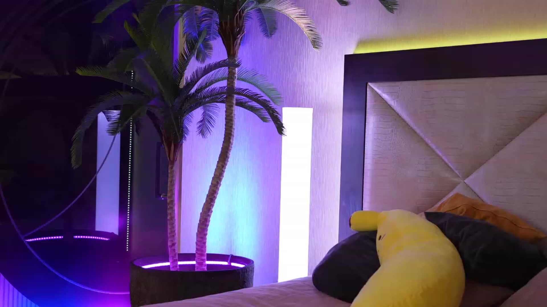 GoGoDr3am video thumbnail