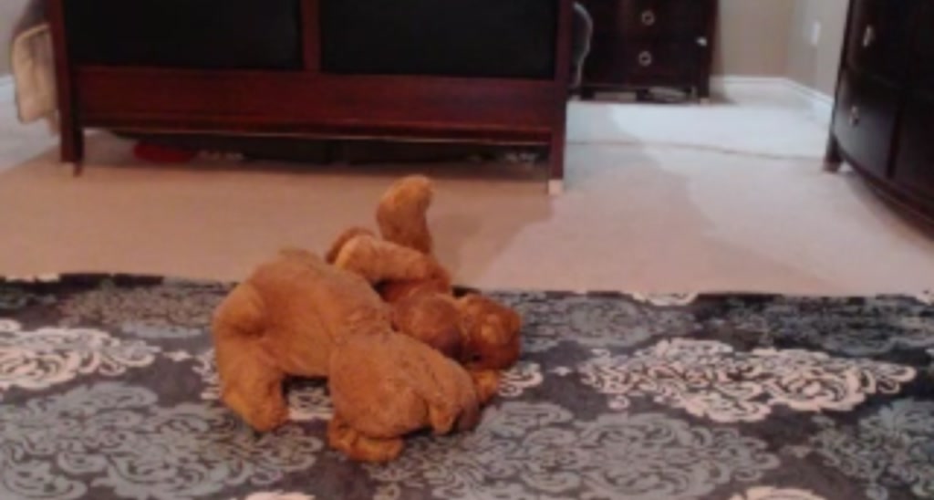 Ms_WetNWild video thumbnail