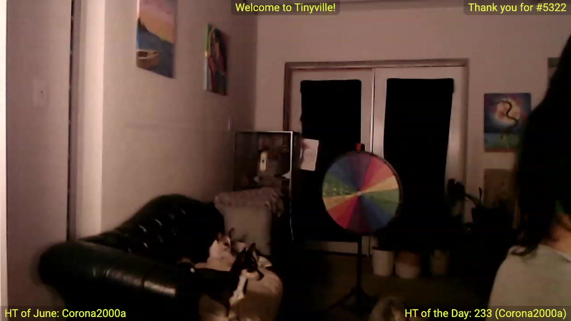 ATinyCassie video thumbnail
