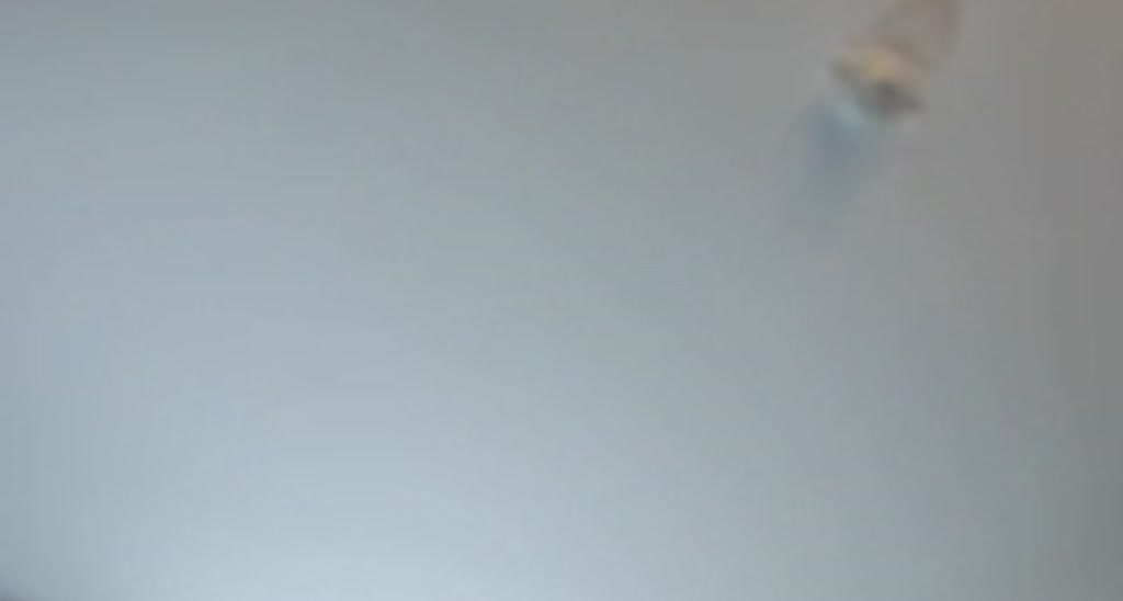 Frankiiy_ video thumbnail