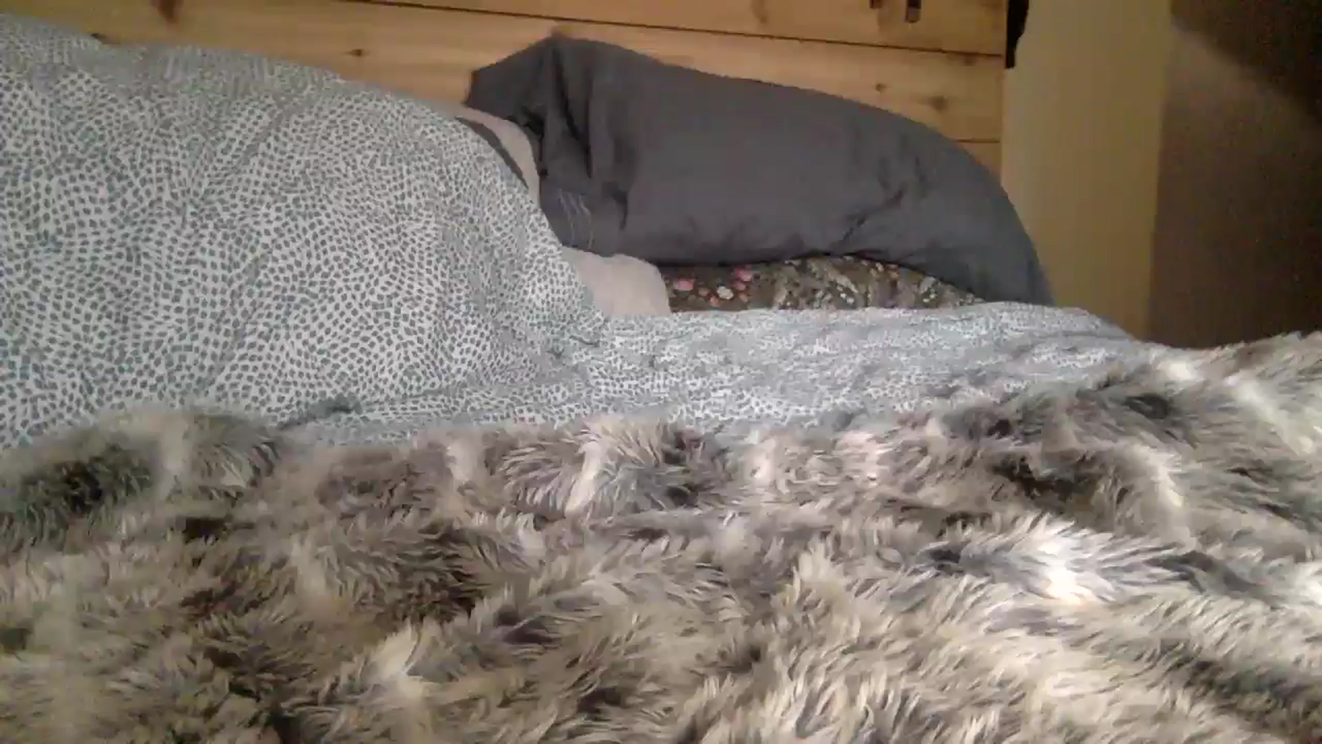 PurrtyMetal video thumbnail