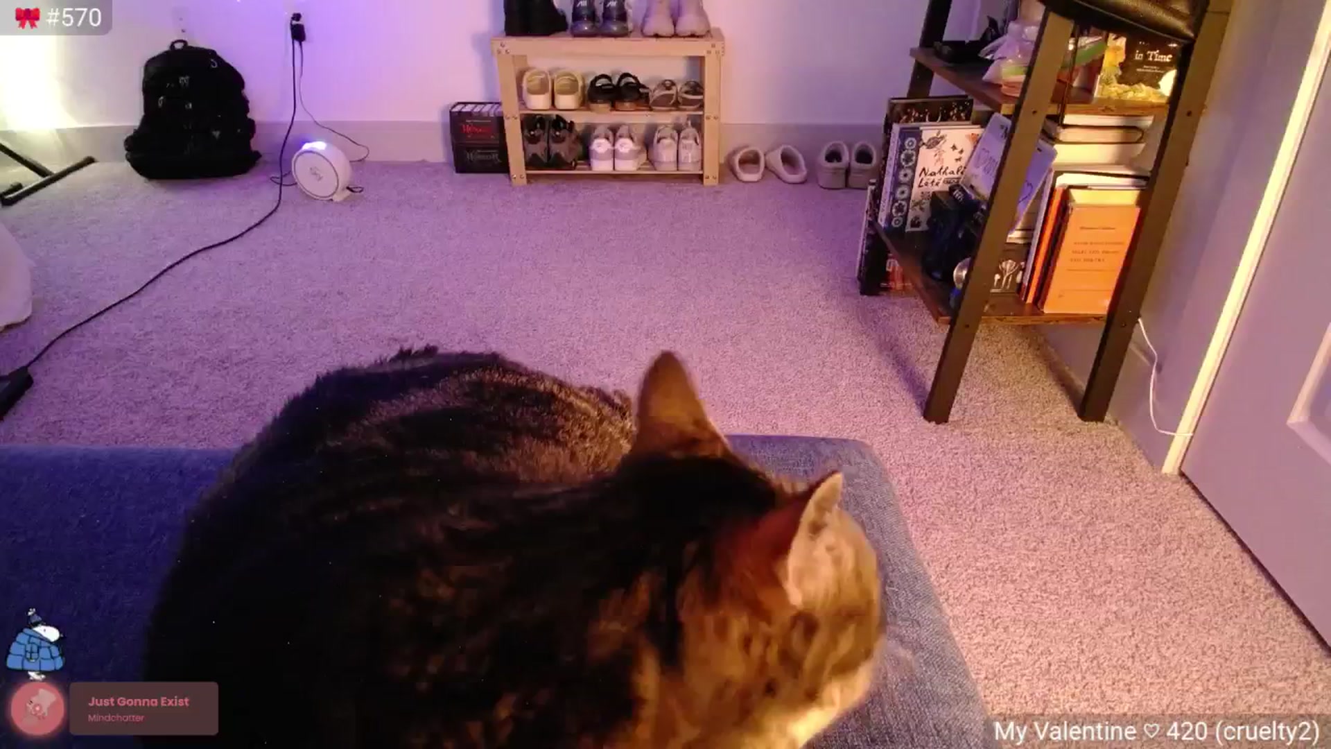 Monica video thumbnail