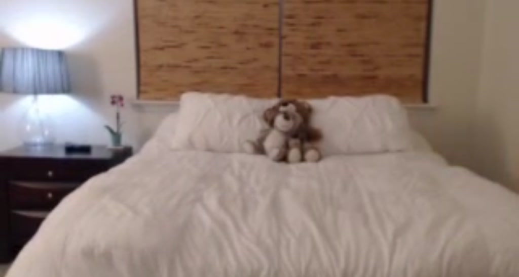 LilMissBrandi video thumbnail