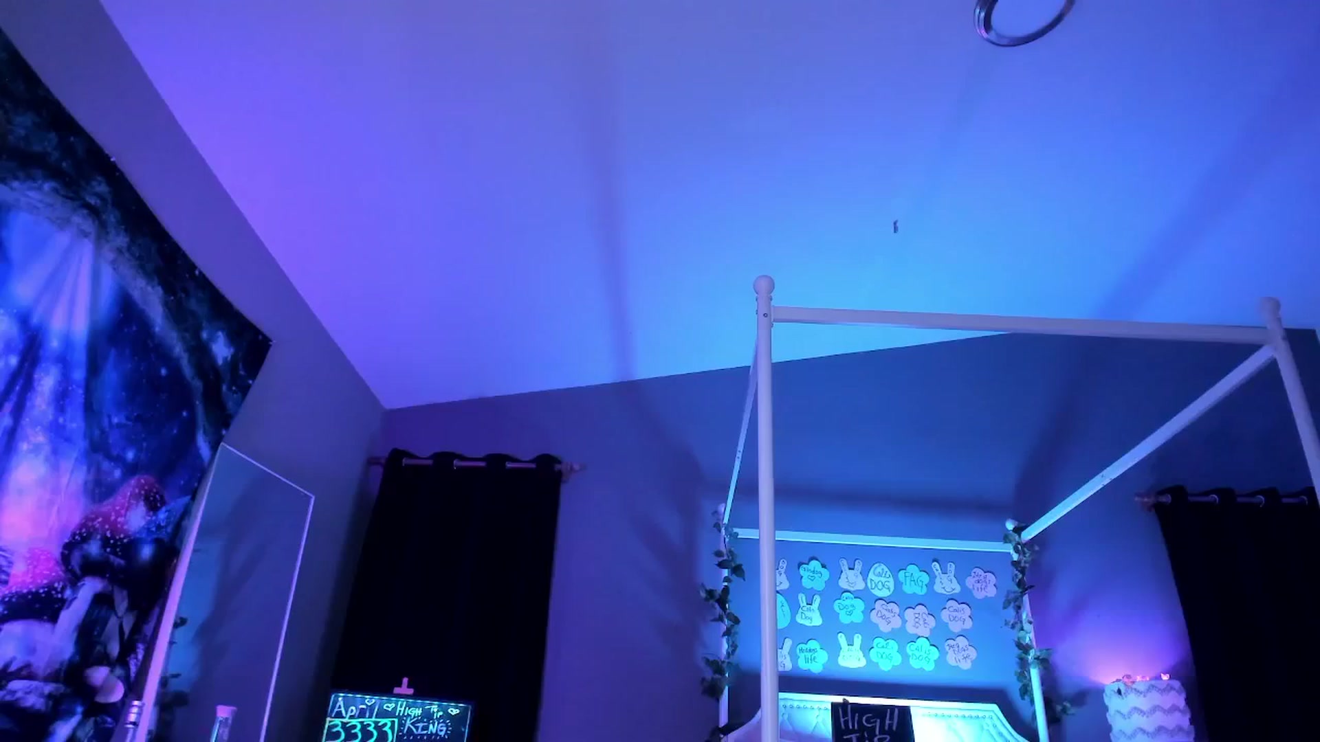 CaliPassion video thumbnail