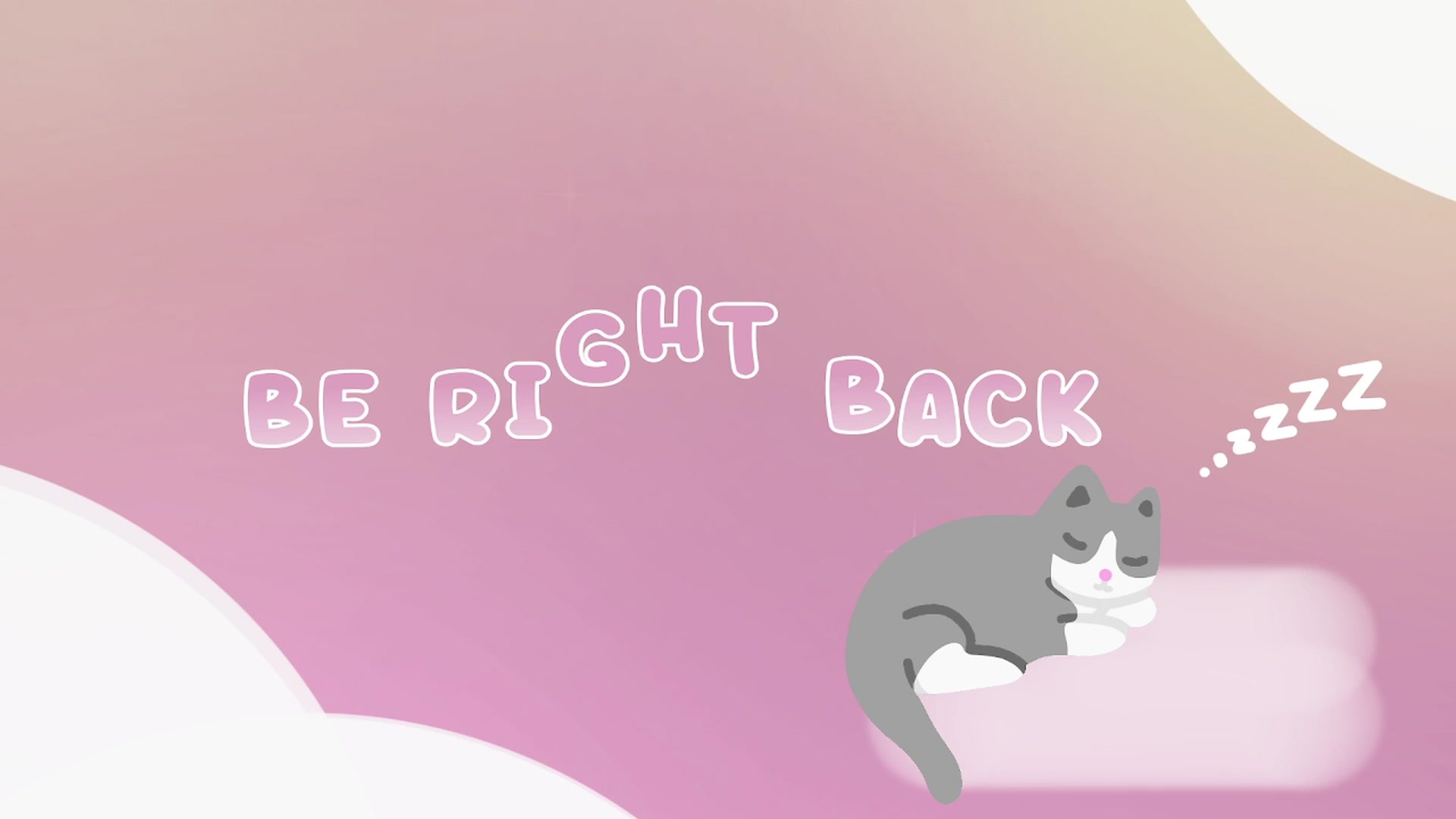 Kitty video thumbnail