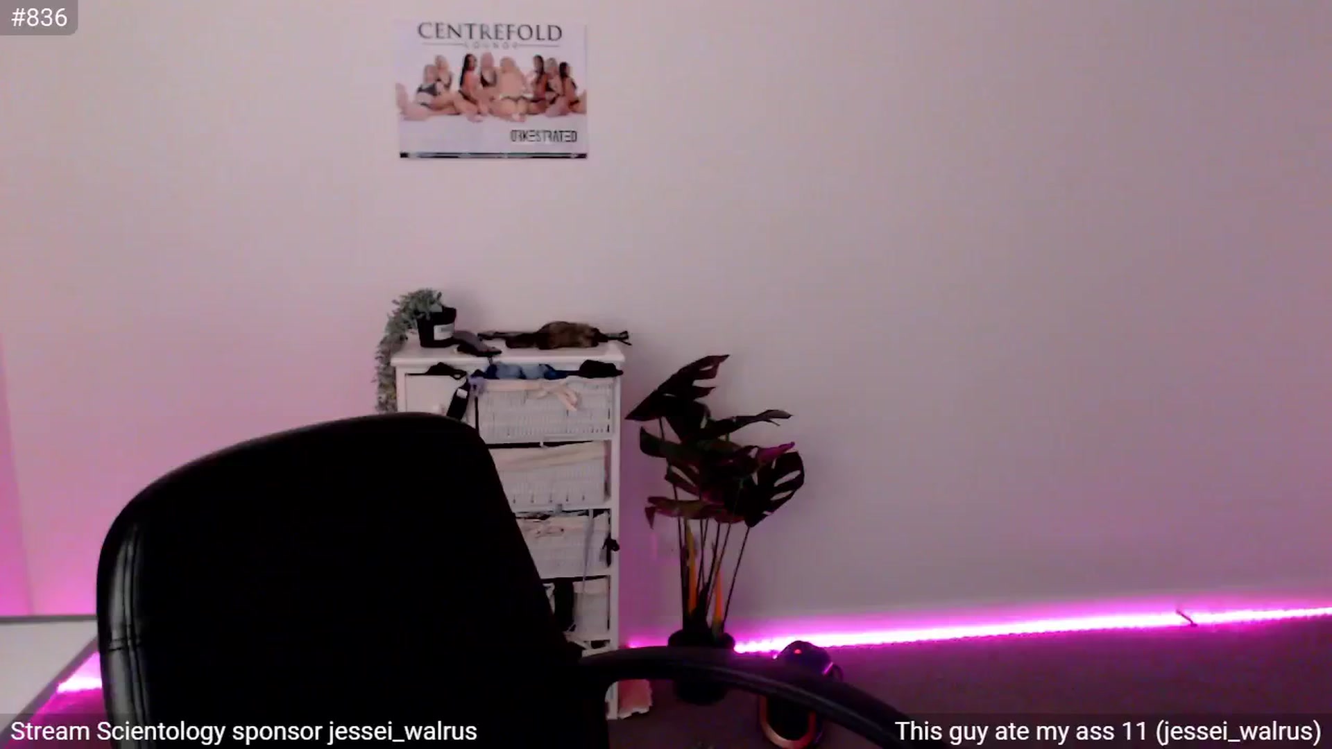 StonksRoom video thumbnail