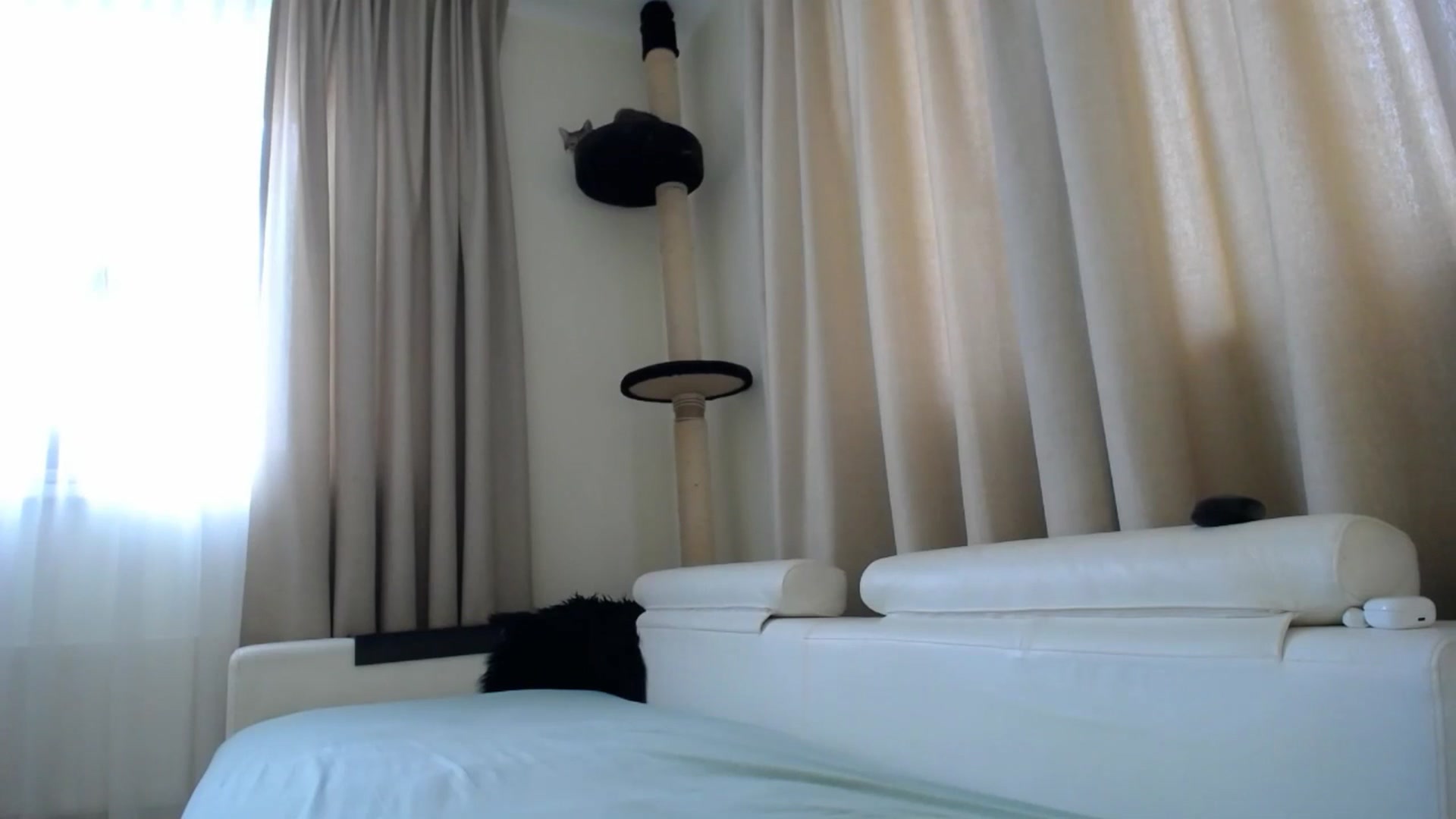 EmilyTease video thumbnail