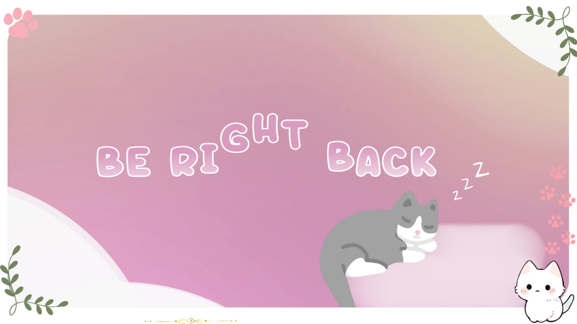 Kitty video thumbnail