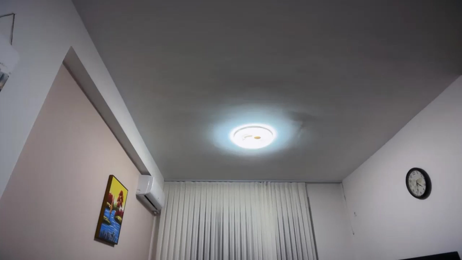 SkySunFlower video thumbnail