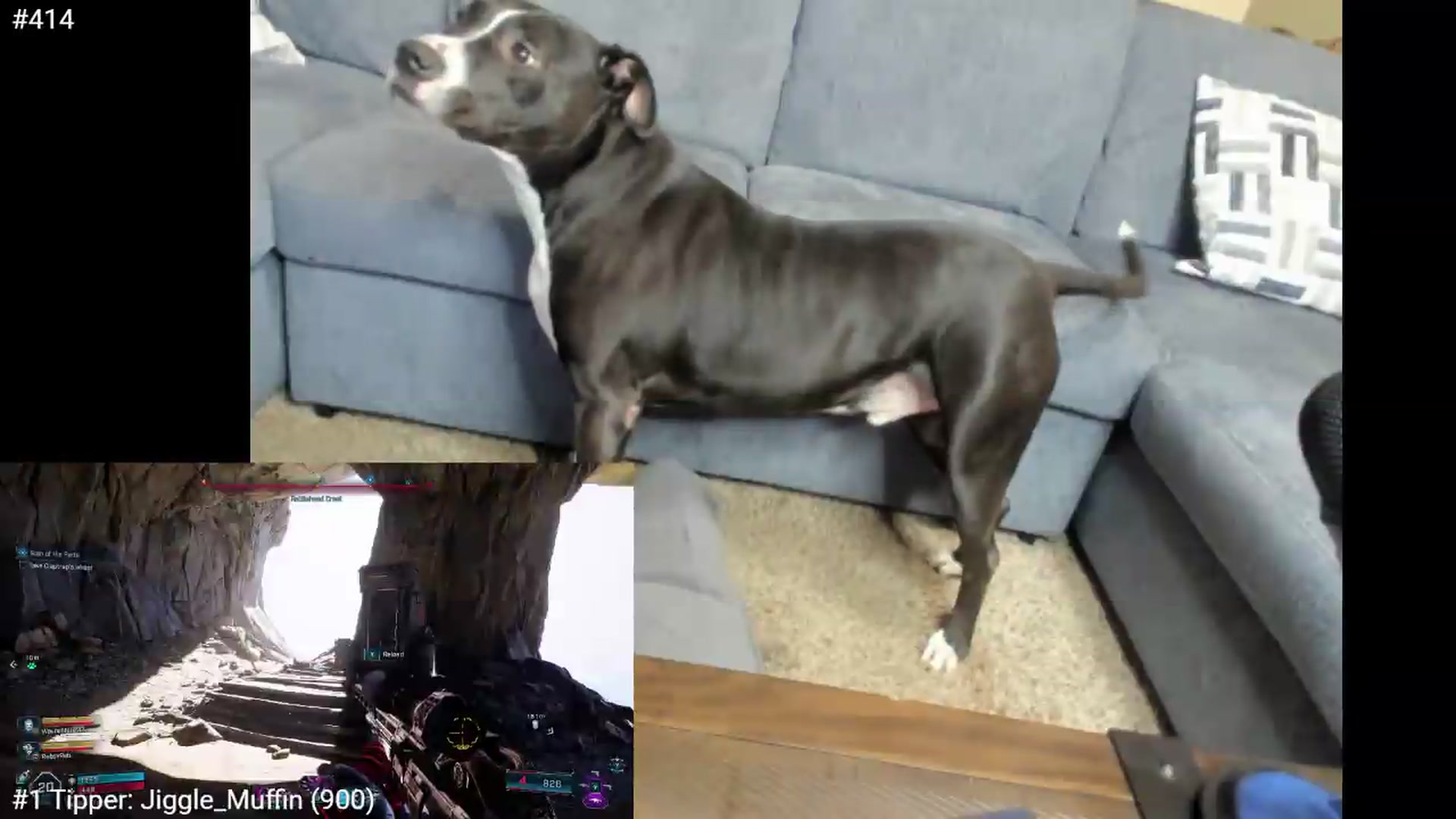 PrincessBluu video thumbnail