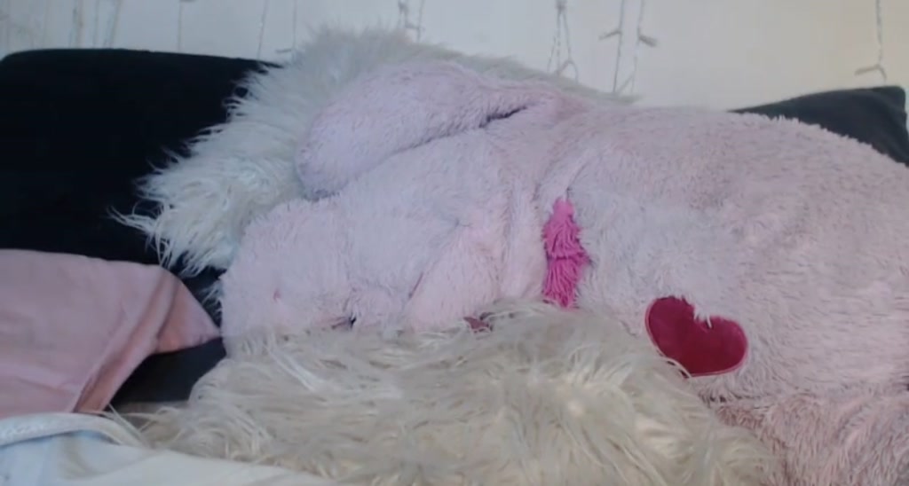 Ledabear video thumbnail