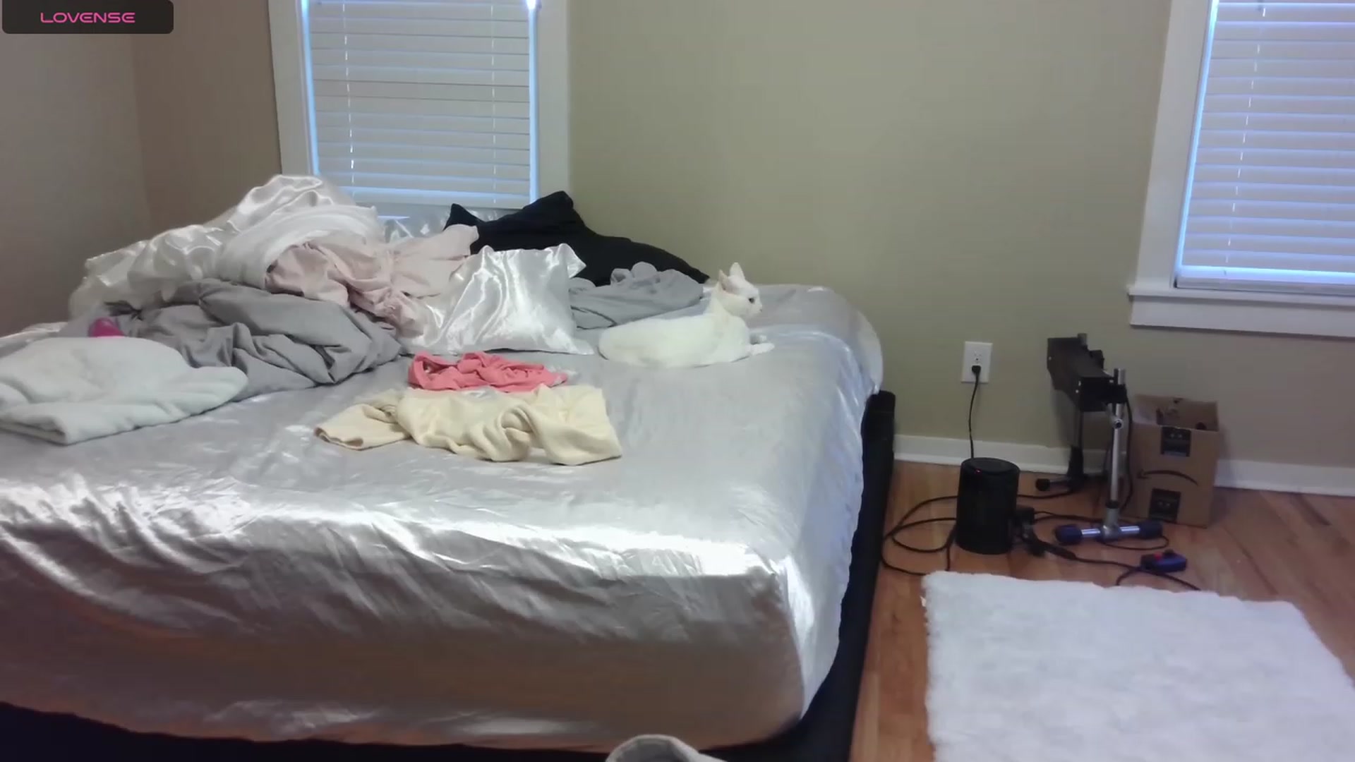 HollyHanna video thumbnail