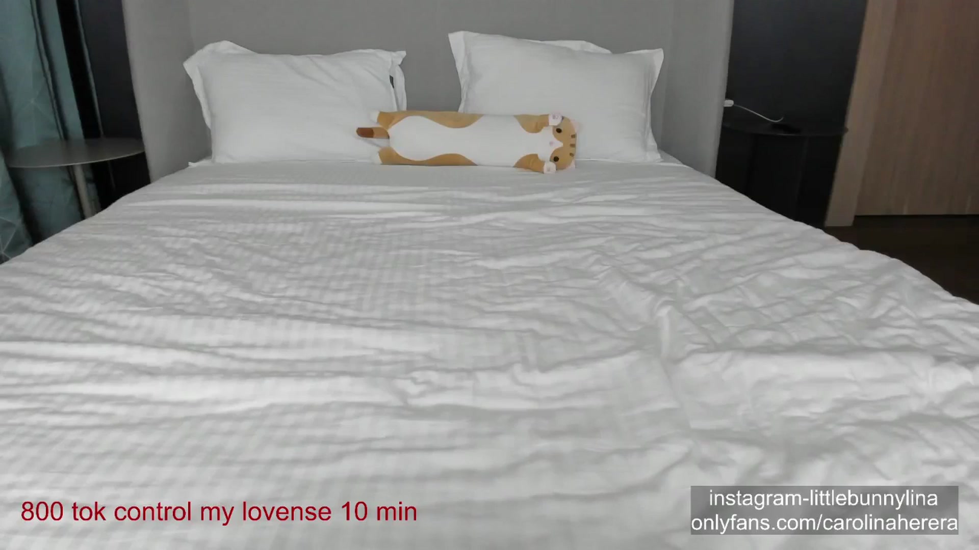 CarolinaHerer video thumbnail