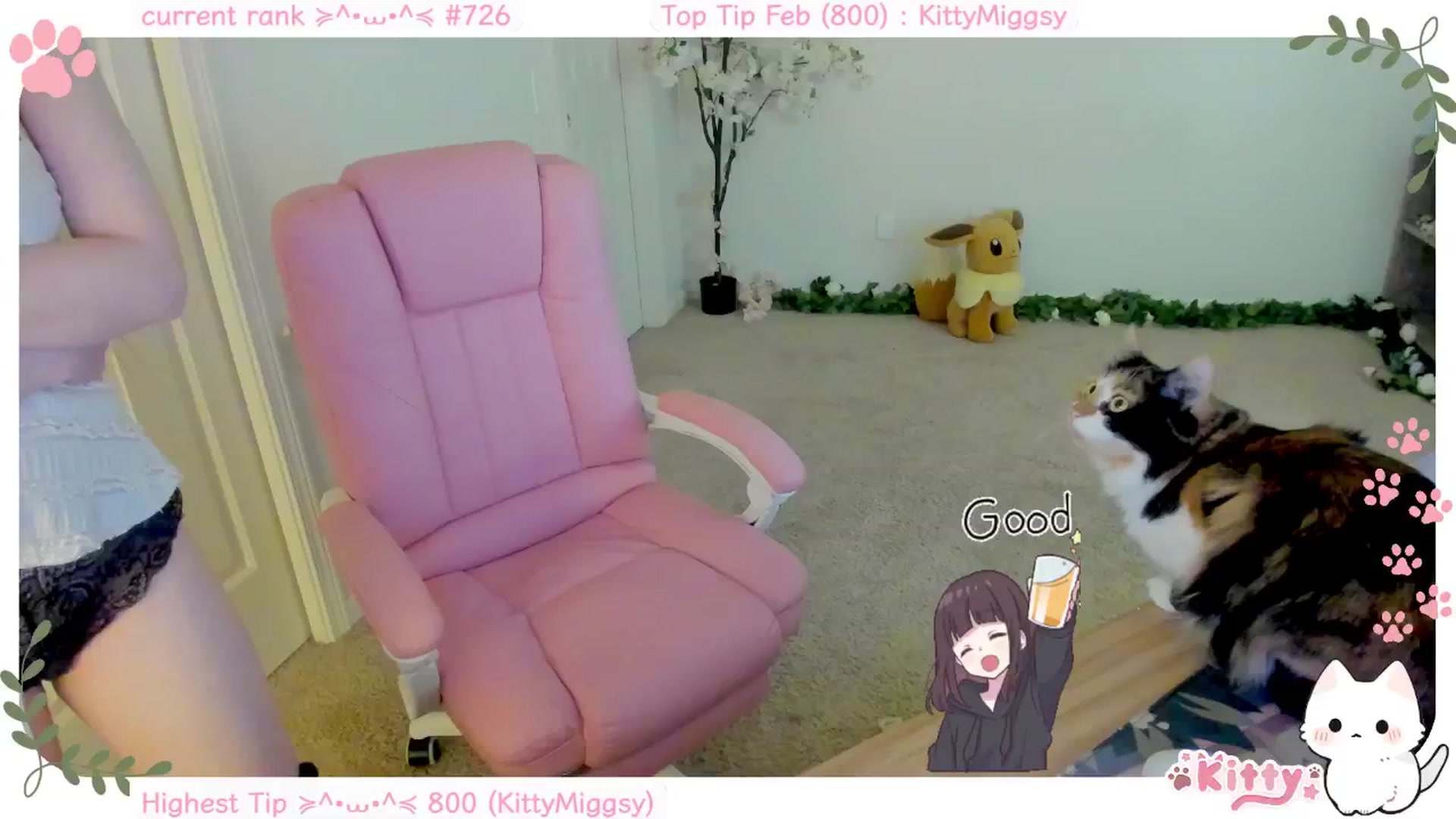 Kitty video thumbnail