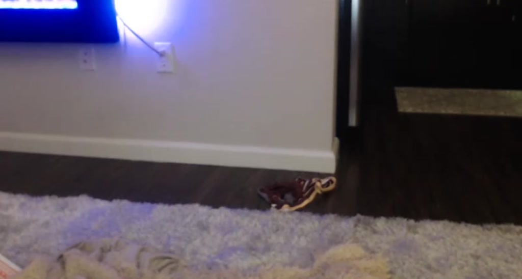 PeytonMoaning video thumbnail