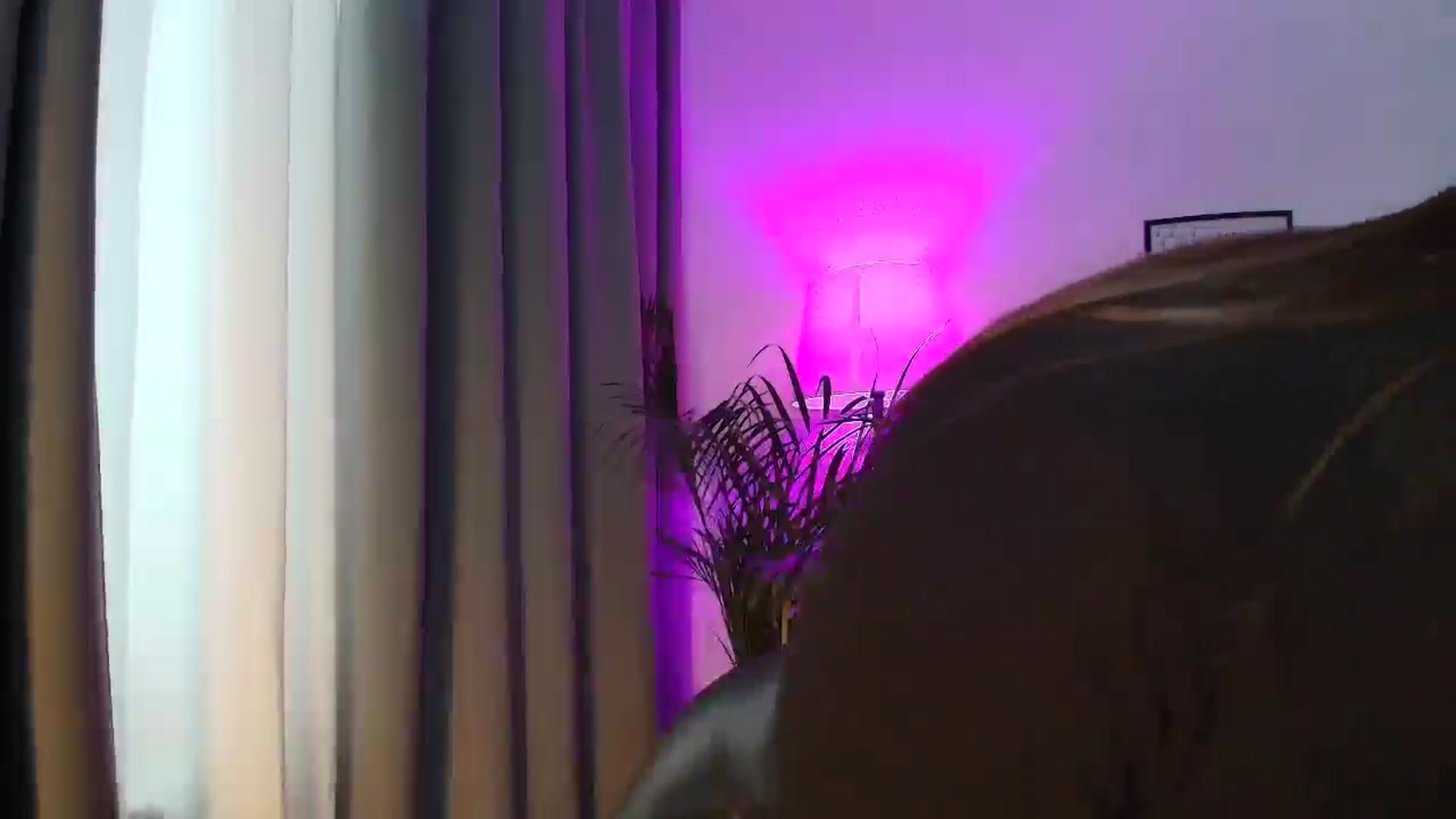 MissNelly_ video thumbnail