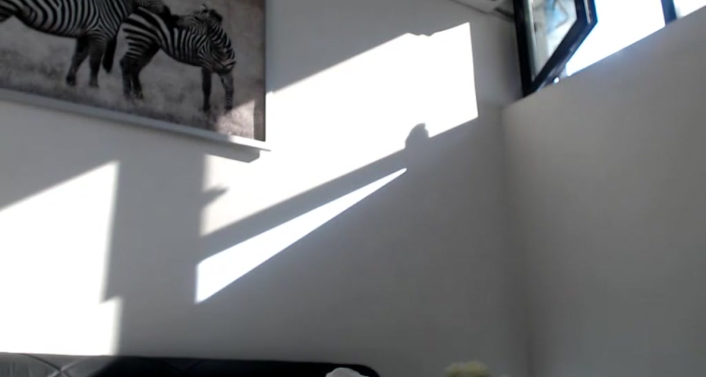 Kissofacobra video thumbnail