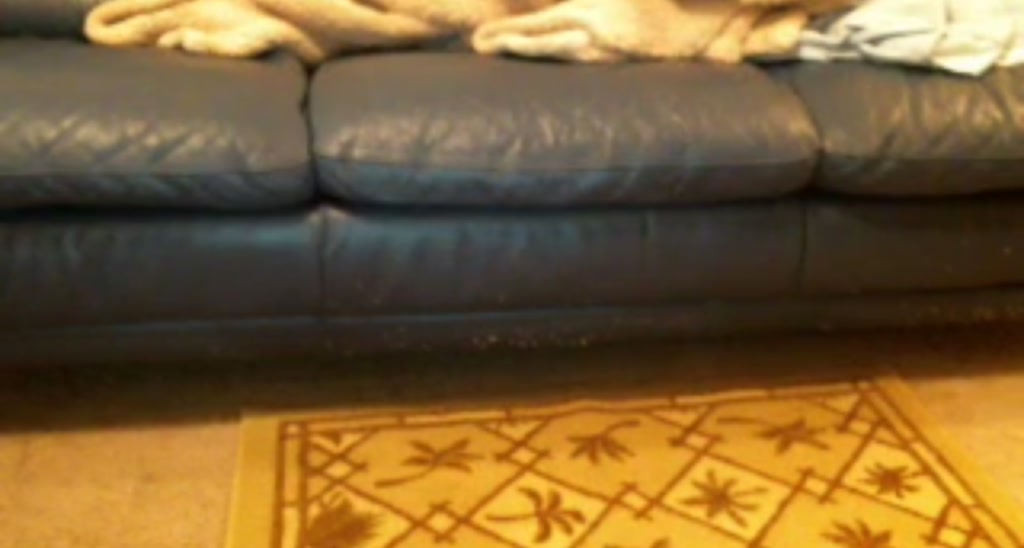 Arianna_Marie video thumbnail
