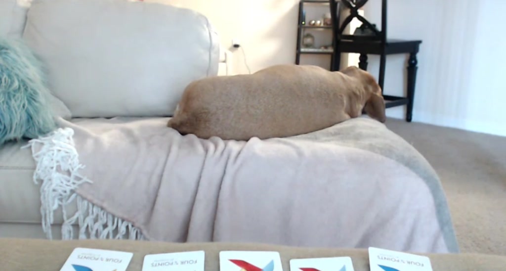 HallieHarper video thumbnail