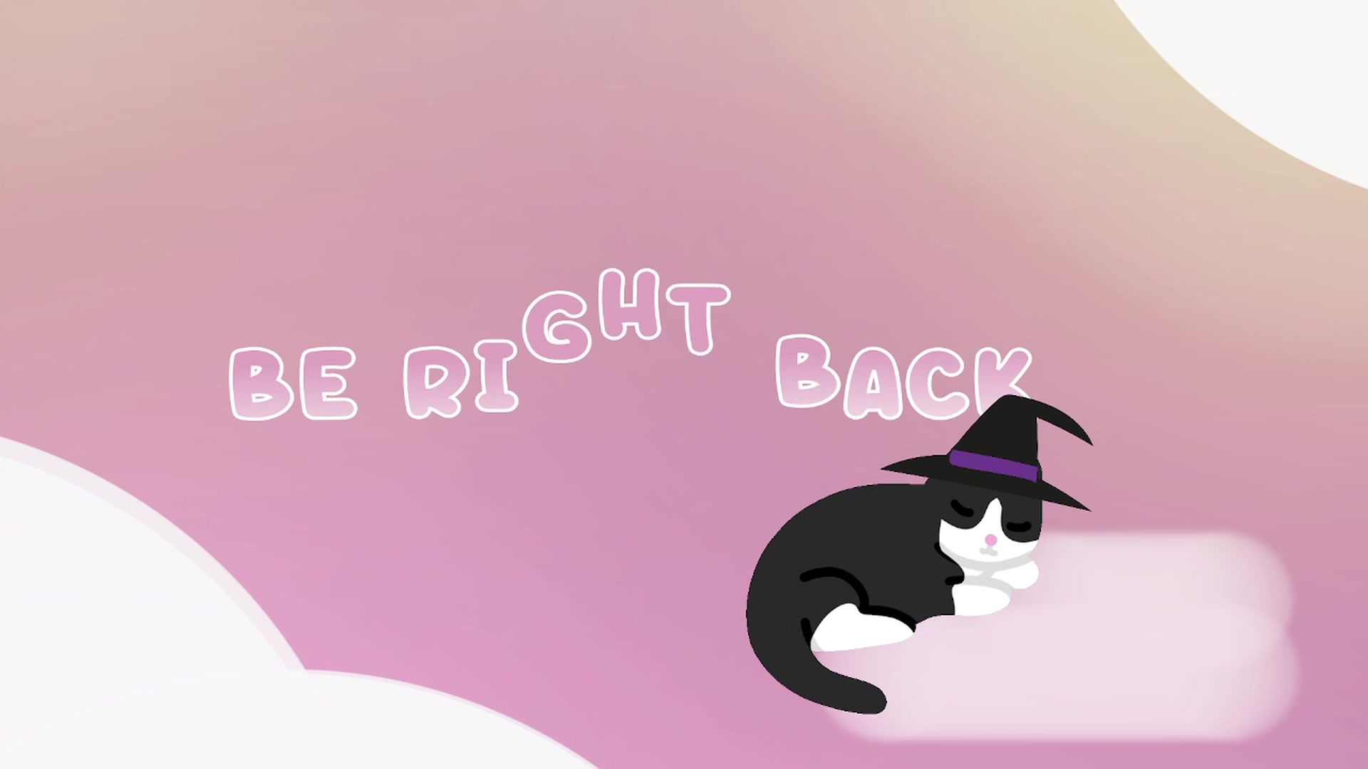 Kitty video thumbnail