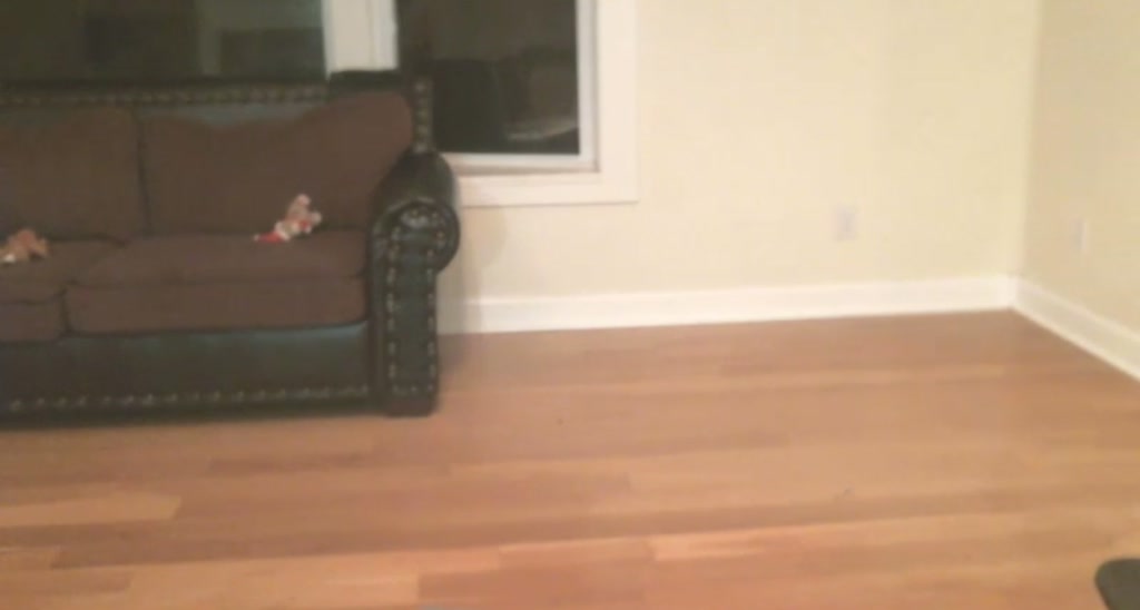 Sammy_Lang video thumbnail