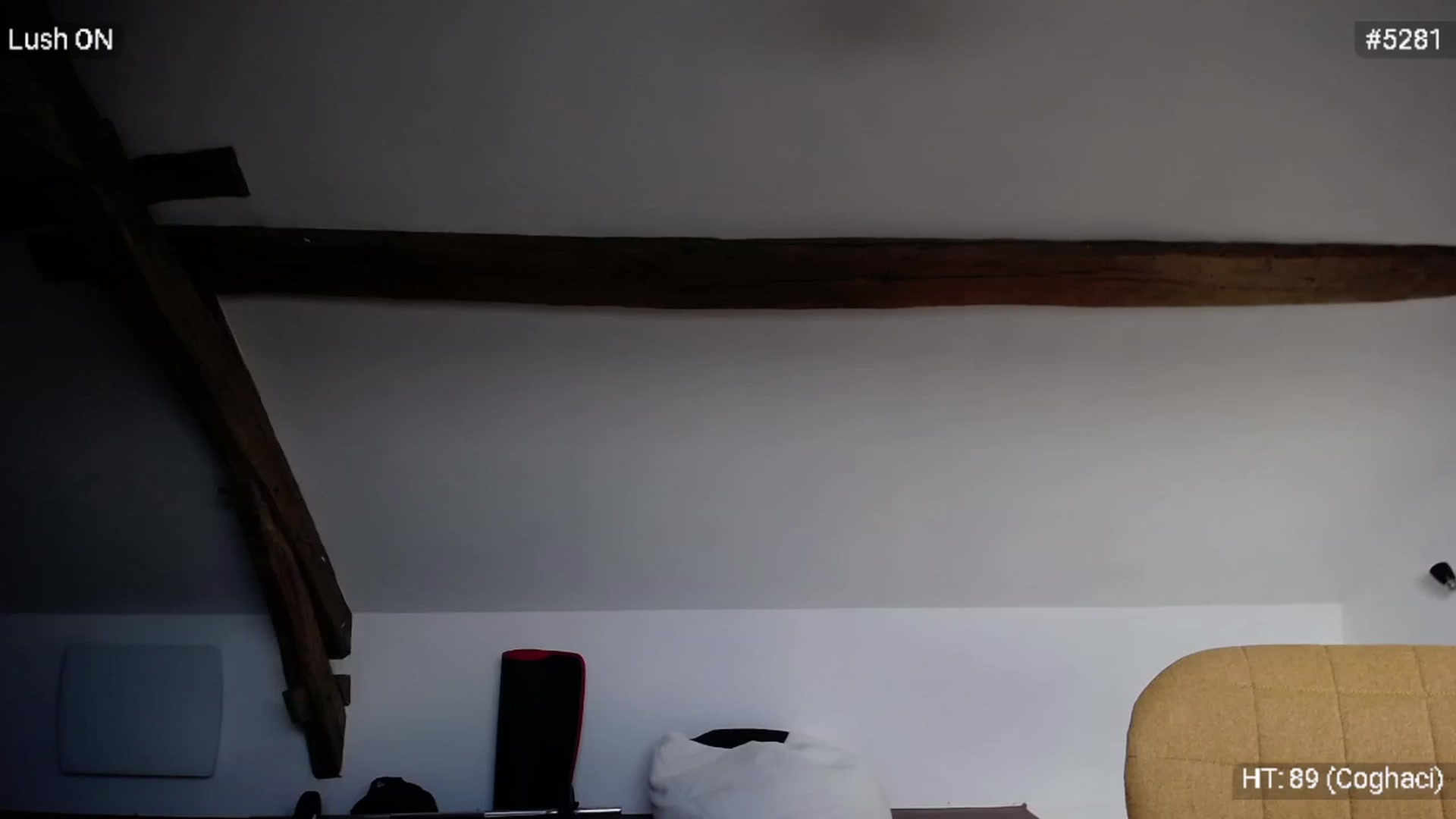 Bootysaur video thumbnail
