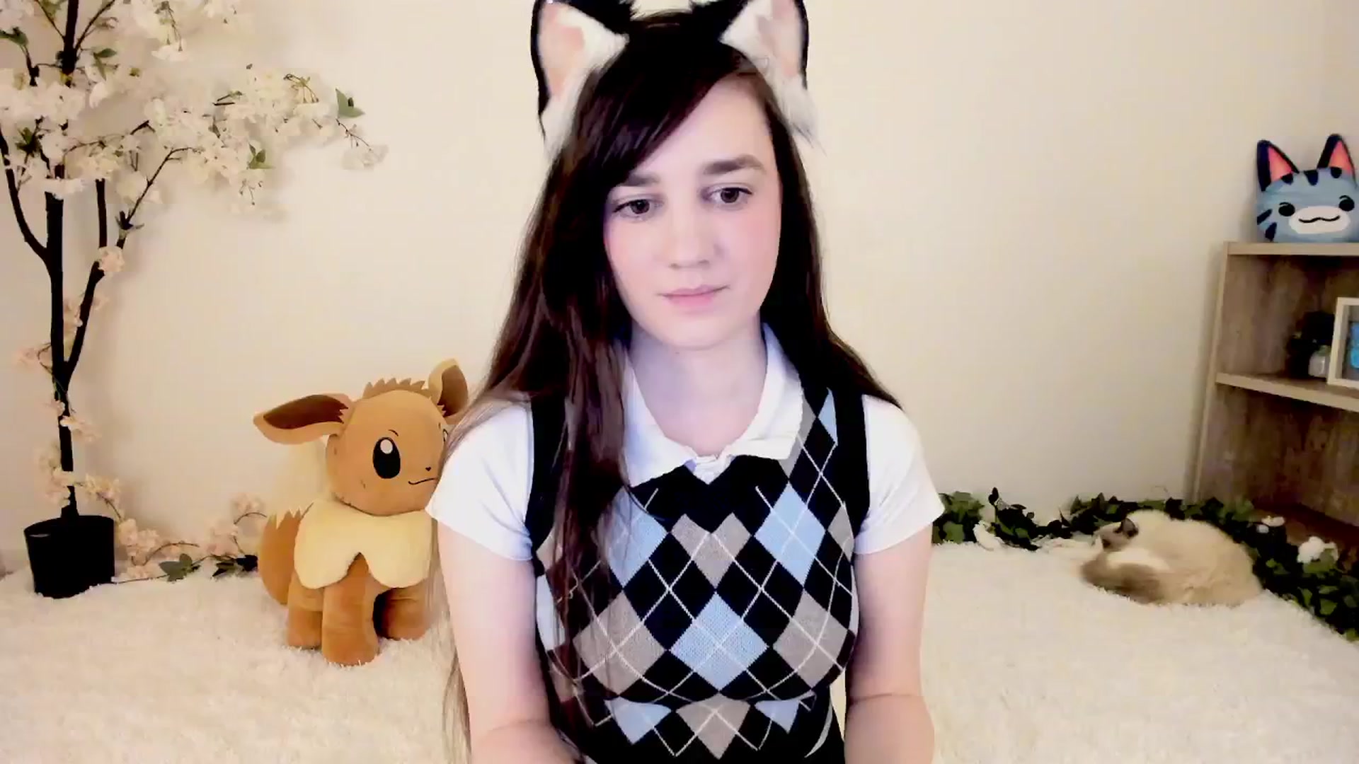 Kitty video thumbnail